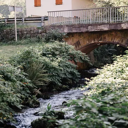 Nature In Alsace Between Stream And Vineyard * Andlau-au-Val