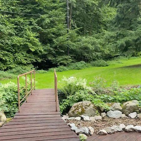 Nature In Alsace Between Stream And Vineyard