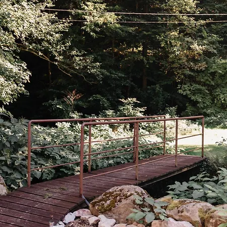 Nature In Alsace Between Stream And Vineyard Andlau-au-Val