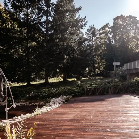 Nature In Alsace Between Stream And Vineyard Andlau-au-Val