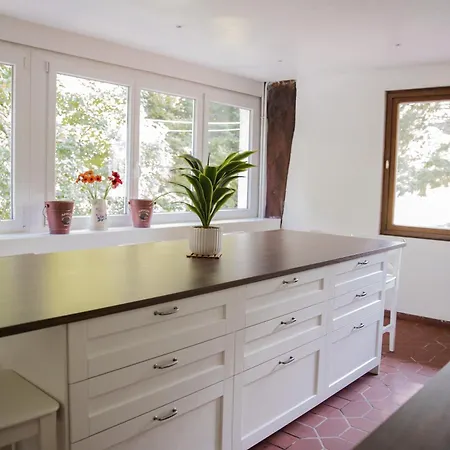 Nature In Alsace Between Stream And Vineyard Дом отдыха