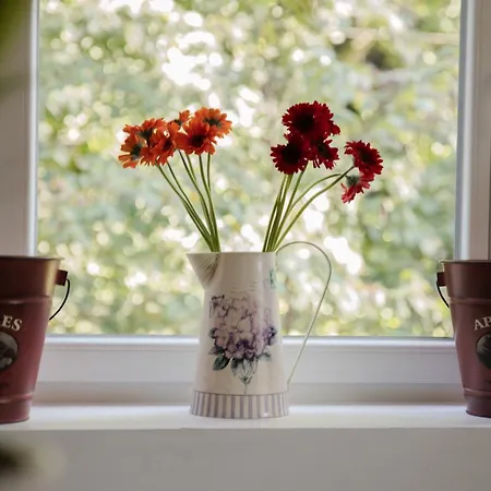 Nature In Alsace Between Stream And Vineyard Nyaraló *