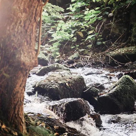 Nyaraló Nature In Alsace Between Stream And Vineyard Andlau-au-Val