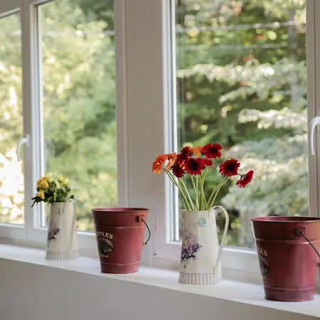 Nature In Alsace Between Stream And Vineyard Andlau-au-Val